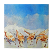 Aves de Praia de Aquarela