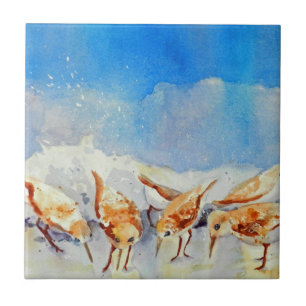 Azulejo De Cerâmica Aves de Praia de Aquarela