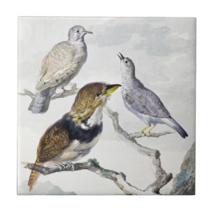 Azulejo De Cerâmica Aves em Galho de Arte com Tom Neutro Elegante