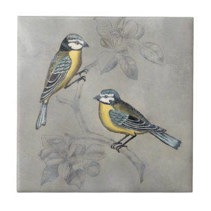 Azulejo De Cerâmica Aviário Silvered Casal de aves