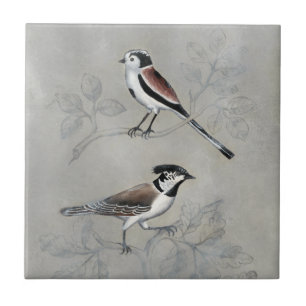 Azulejo De Cerâmica Aviário Silvered Um par