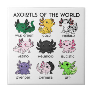 Azulejo De Cerâmica Axolotes Kawaii do Mundo