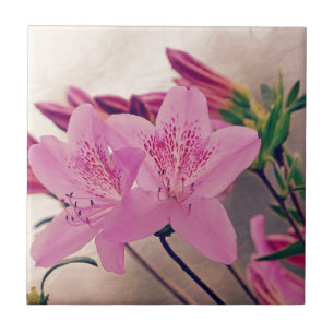 Azulejo De Cerâmica Azaleas