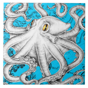Azulejo De Cerâmica Azul de Mapa de Vintagem de Octopus Branco