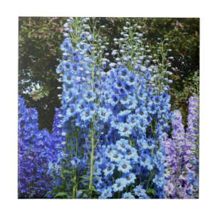 Azulejo De Cerâmica Azul Delfinium Floral Flowers Natureza