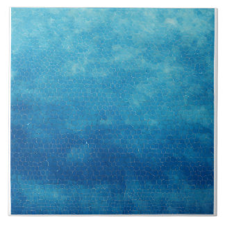 Azulejo De Cerâmica Azul e Branco