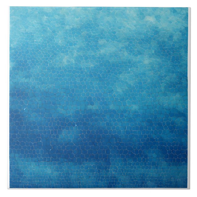 Azulejo De Cerâmica Azul e Branco (Frente)