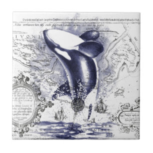 Azulejo De Cerâmica Azul - Mapa de Baleia Orca