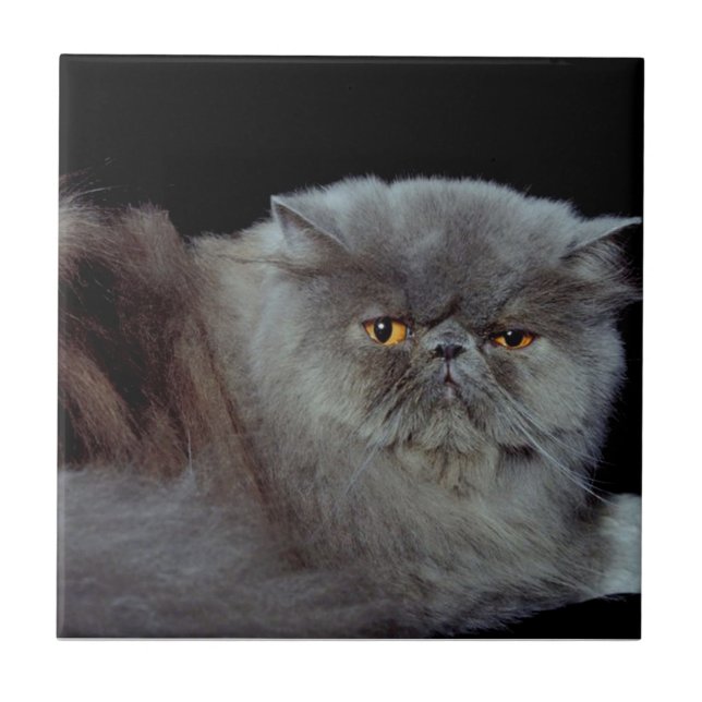 Azulejo De Cerâmica Azul Persa (Frente)