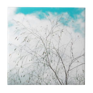 Azulejo De Cerâmica Azul Turquesa Claro Pastel Pálido Ramos de Árvore 