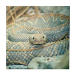 Azulejo De Cerâmica Azulejo cerâmica