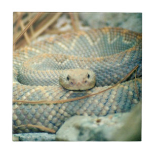 Azulejo De Cerâmica Azulejo cerâmica