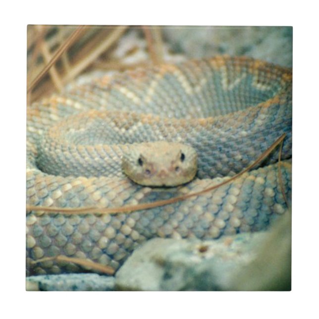 Azulejo De Cerâmica Azulejo cerâmica (Frente)