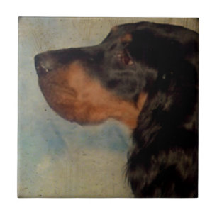 Azulejo De Cerâmica Azulejo Cerâmica Gordon Setter