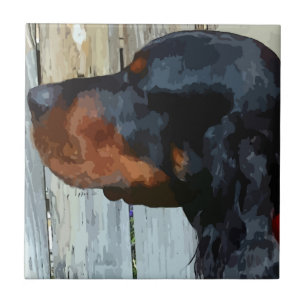 Azulejo De Cerâmica Azulejo Cerâmica Gordon Setter