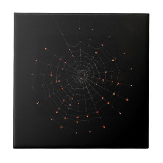 Azulejo De Cerâmica Azulejo Cerâmico Minimalista de Teia de Aranha de 