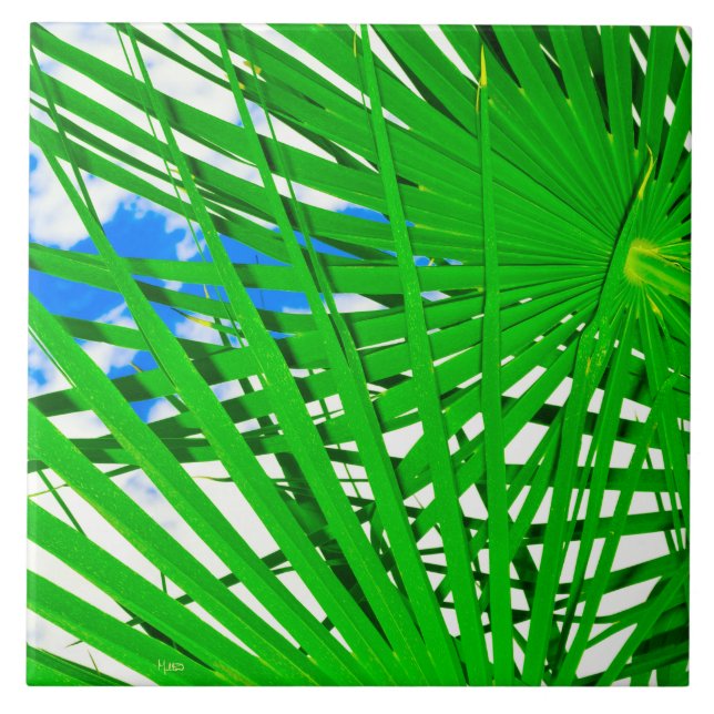Azulejo De Cerâmica Azulejo Céu Palm Cerâmica (Frente)