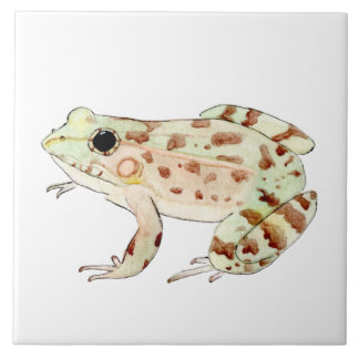 Azulejo De Cerâmica Azulejo de rana leopardo