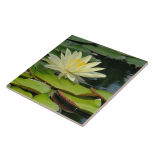 Azulejo De Cerâmica Azulejo/flor amarela de Trivet Lotus (Photog)