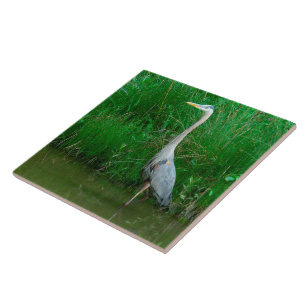 AZULEJO DE CERÂMICA  AZULEJO, "HERON AZUL PRENDENDO EM POND" (FOTO)