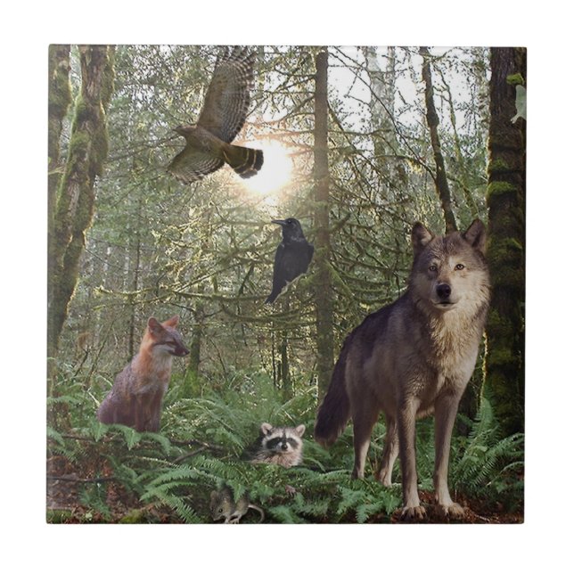 Azulejo De Cerâmica Azulejo-Presente de Animais Florestais (Frente)