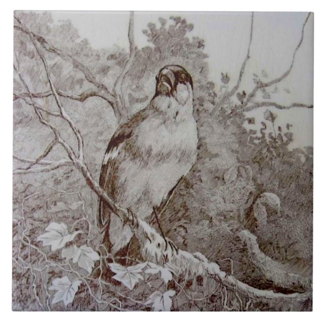 Azulejo De Cerâmica Azulejo Repro 1886 Minton Sepia Transferware Bird  (Frente)