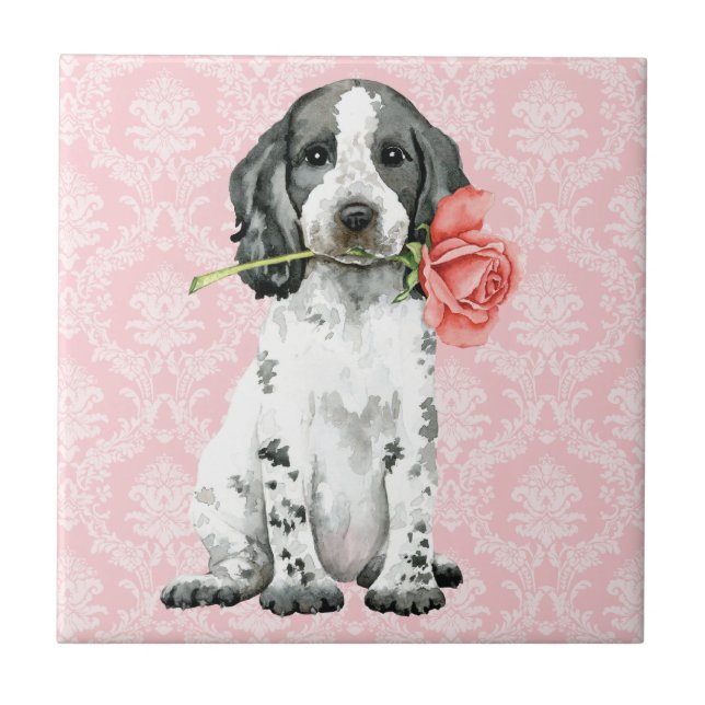 Azulejo De Cerâmica Azulejo Rosa Inglês Cocker Spaniel Cerâmica (Frente)
