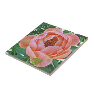AZULEJO DE CERÂMICA AZULEJO/TRIVET CERÂMICO COM PINCO