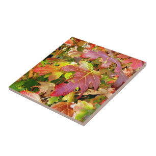 Azulejo De Cerâmica azulejo/Trivet de 'Autumn Leaves'
