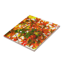 Azulejo De Cerâmica azulejo/Trivet de 'Fogo de outono'