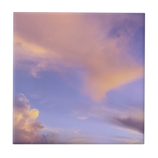 AZULEJO DE CERÂMICA  AZULEJO/TRIVET "SKY PINTADO" (Frente)
