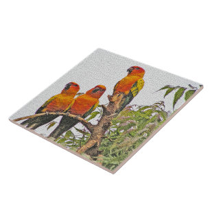 AZULEJO DE CERÂMICA AZULEJO/TRIVET, TRÊS PARTES DE LARANJA (MANUAL DIG