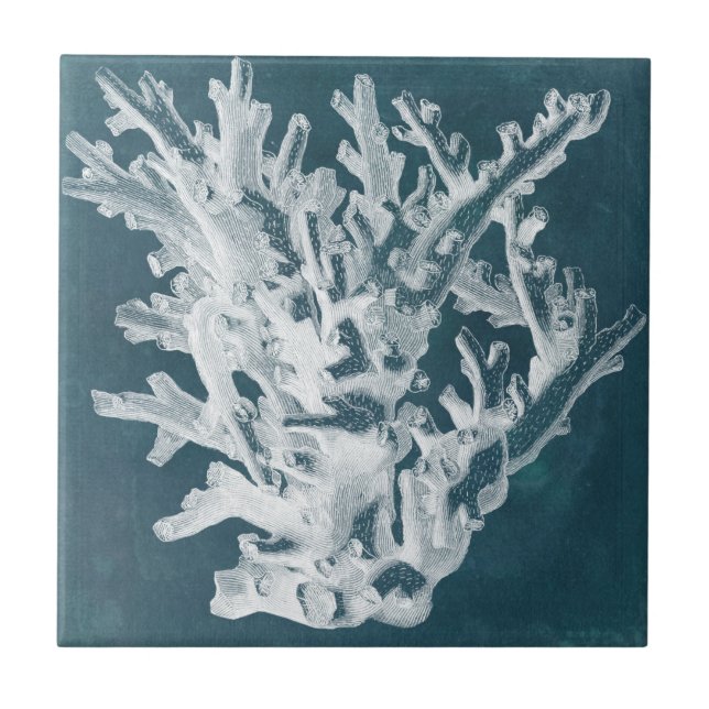 Azulejo De Cerâmica Azure Coral I (Frente)