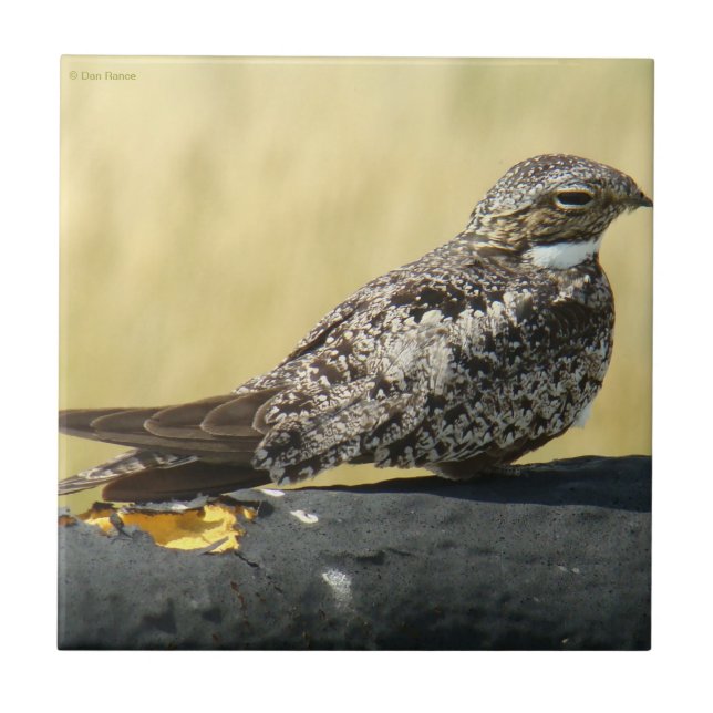 AZULEJO DE CERÂMICA  B29 (Frente)