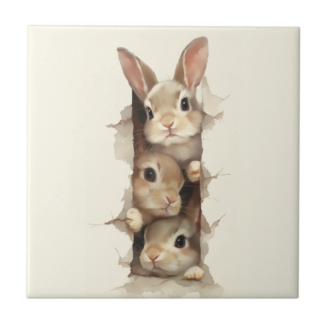 Azulejo De Cerâmica B3 Three Bunnies 3D Illusion  (Frente)