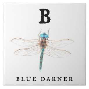 Azulejo De Cerâmica "B" Blue Darner
