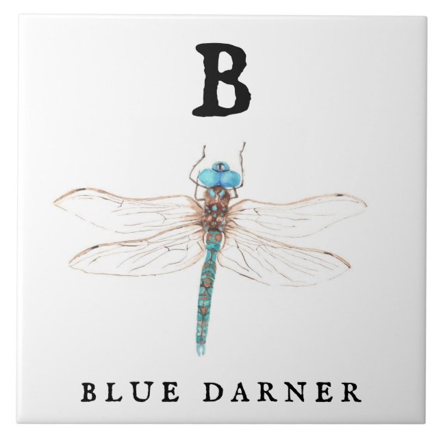 Azulejo De Cerâmica "B" Blue Darner (Frente)