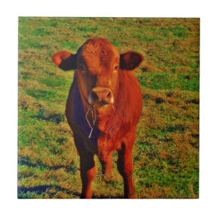 AZULEJO DE CERÂMICA BABY BROWN COW EAING