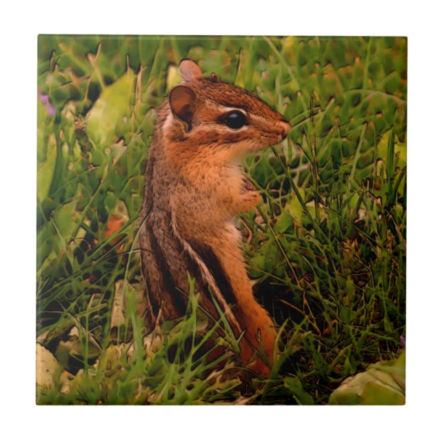 Azulejo De Cerâmica Baby Chipmunk Animal Art (Frente)