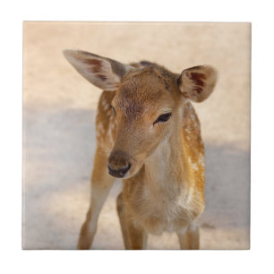 Azulejo De Cerâmica Baby Deer