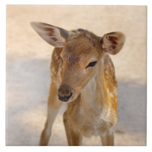 Azulejo De Cerâmica Baby Deer