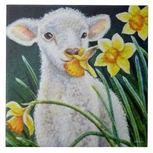 Azulejo De Cerâmica Baby Lamb e Primavera Daffodils