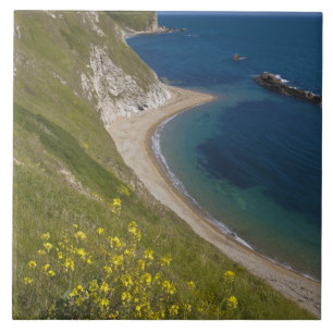 Azulejo De Cerâmica Baía de Man o War, Costa Jurássica, Lulworth, Dors