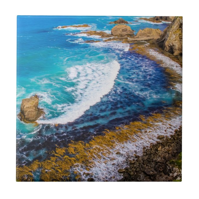 Azulejo De Cerâmica Baía De Roaring No Ponto Nugget (Frente)