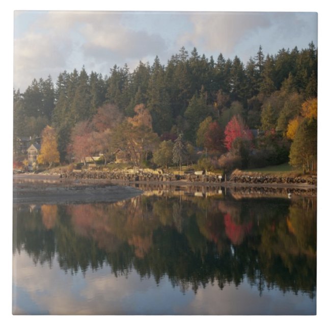 Azulejo De Cerâmica Baía Fletcher (Frente)