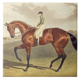 Azulejo De Cerâmica Baía Middleton, vencedor do Derby em 1836, em