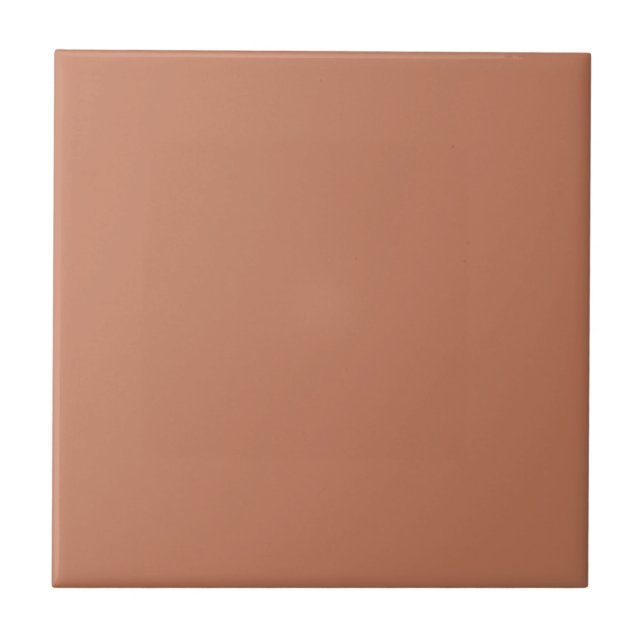 Azulejo De Cerâmica Baking Clay Orange Square Kitchen e Banheiro (Frente)
