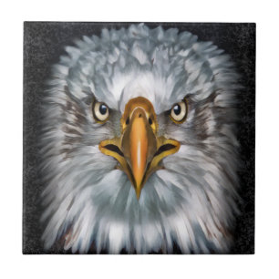 Azulejo De Cerâmica Bald Eagle