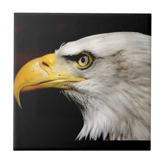 Azulejo De Cerâmica Bald Eagle (Frente)