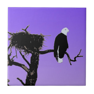Azulejo De Cerâmica Bald Eagle em Sunset - Arte original sobre a vida